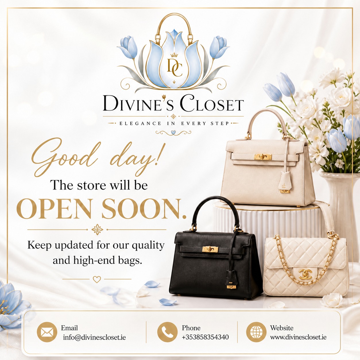 Elegant handbag preview